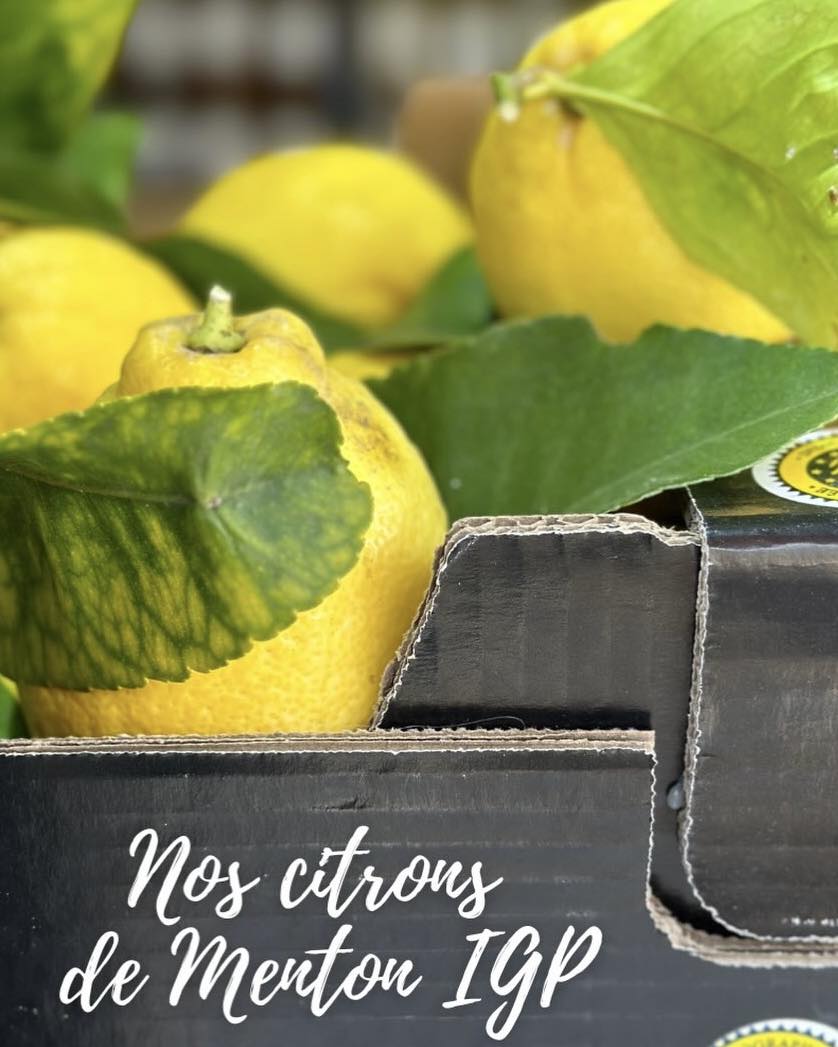 法國 AU PAYS DU CITRON | 蒙頓檸檬橄欖油 (200ml) - Menton IGP 認證